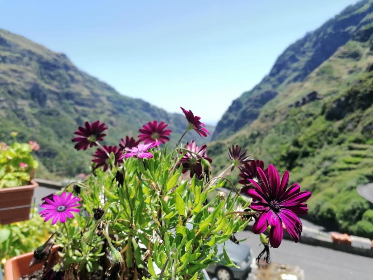 Green Valley House Madeira Рибейра Брава Екстериор снимка